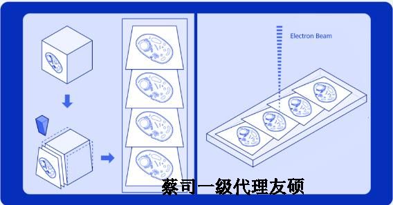 邵阳蔡司邵阳扫描电镜