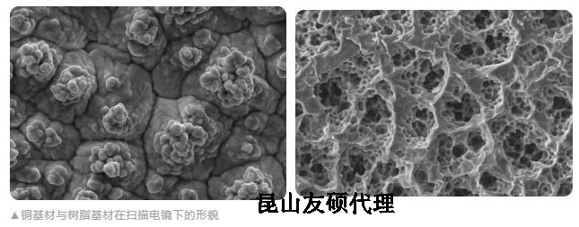 邵阳蔡司邵阳扫描电镜