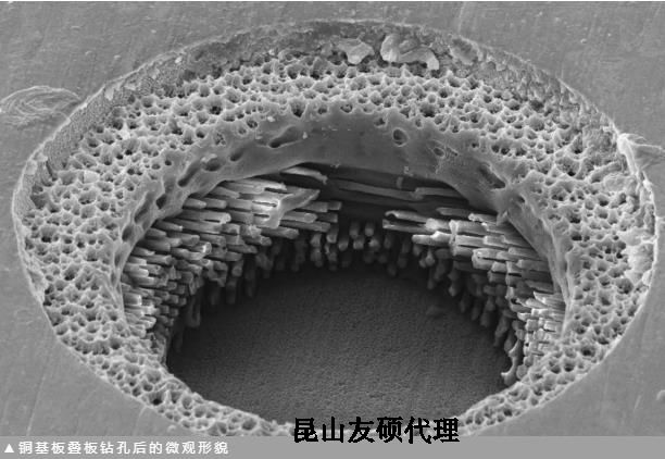 邵阳蔡司邵阳扫描电镜